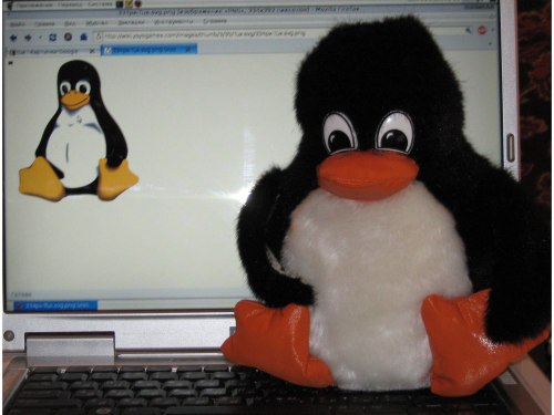 Tux от тёщи