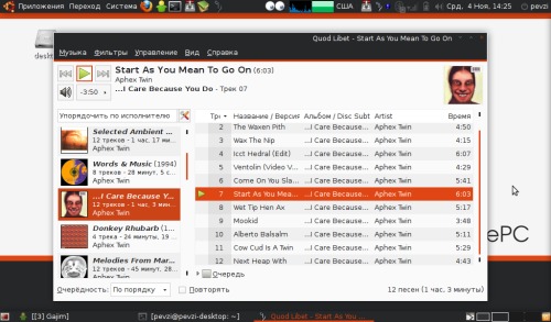 Скриншот: Ubuntu 9.10 + GNOME + QuodLibet на EeePC