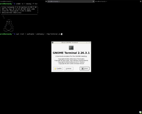 Оттюненный полноэкранный gnome-terminal