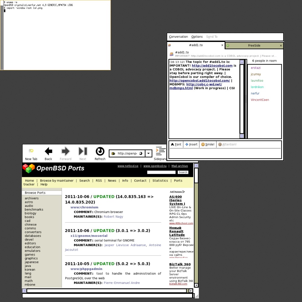 Дабы размочить засилие гномеров и «трутайлеров», openbsd + evilwm