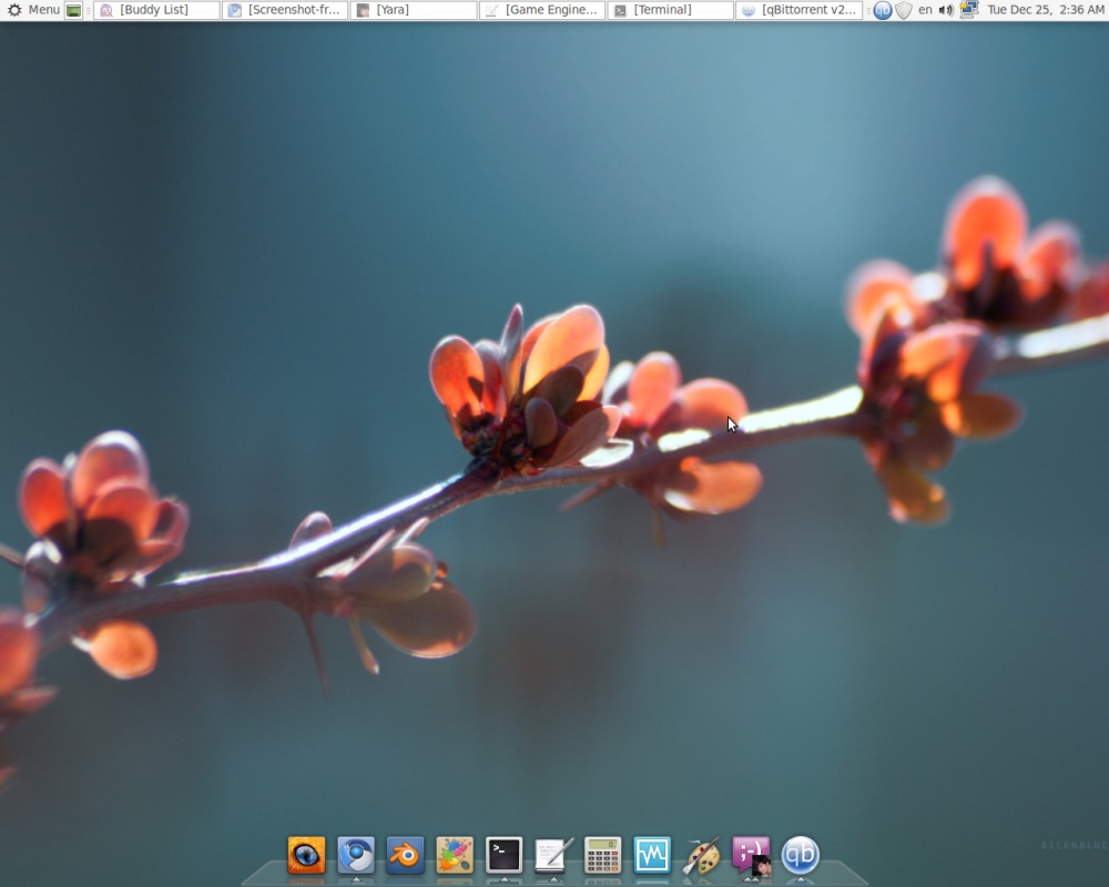 Мое рабочее окружение Linux Mint
