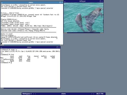 Slackware-11 в qemu, Mplayer - 16  метров  хватит  всем.