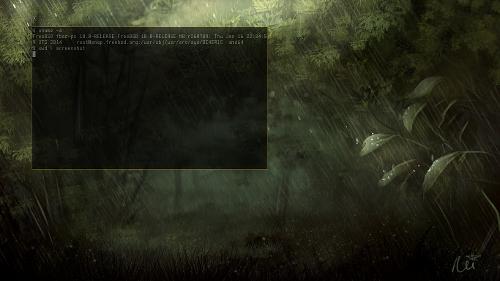 Скриншот: FreeBSD 10.0 & evilwm