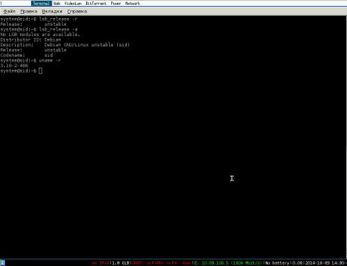 Установил я Debian Sid (unstable)