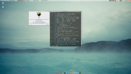 Скриншот: LMDE 2 64 Bit, Workstation HP Z600