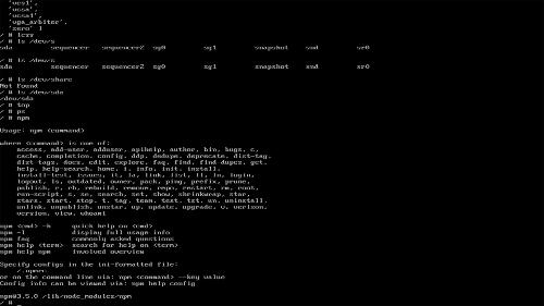 Скриншот: Node OS - дистрибутив Linux c окружением на Node.js/JavaScript