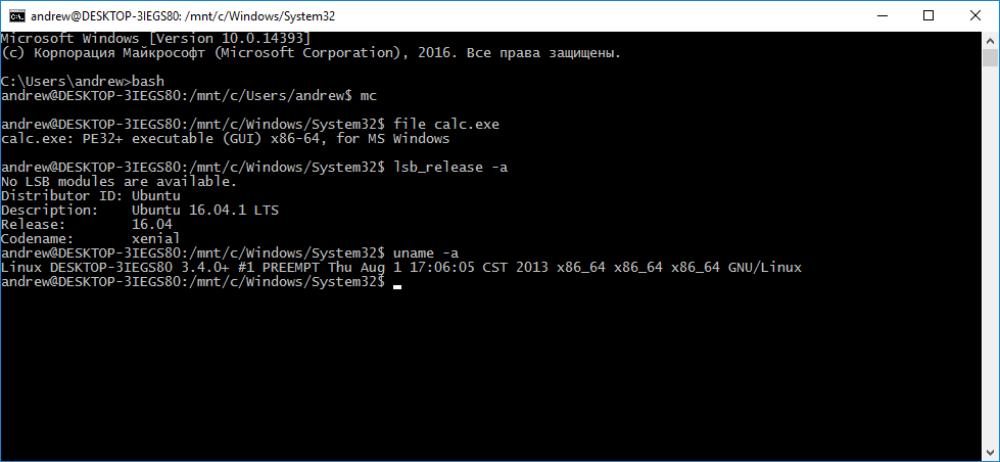 Linux под windows