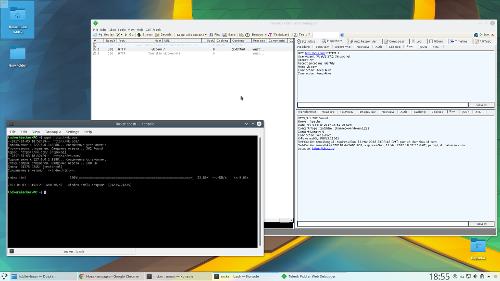 Скриншот: Fiddler нормально работает на Linux (сниффер/анализатор трафика)