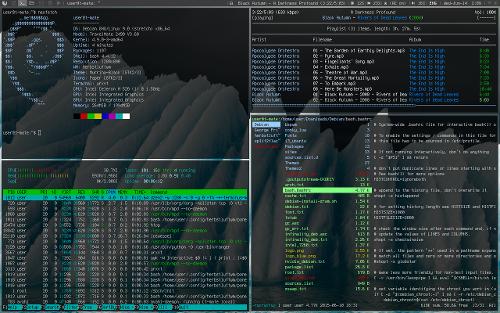 Debian 9 Stretch + herbstluftwm