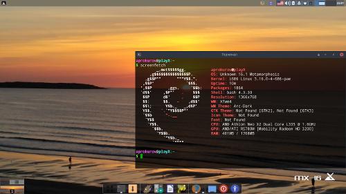 Скриншот: MX Linux на нетбуке