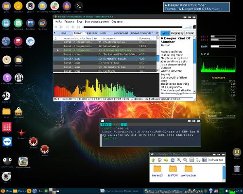 Скриншот: Очень старый комп. Puppy Linux. Более чем..