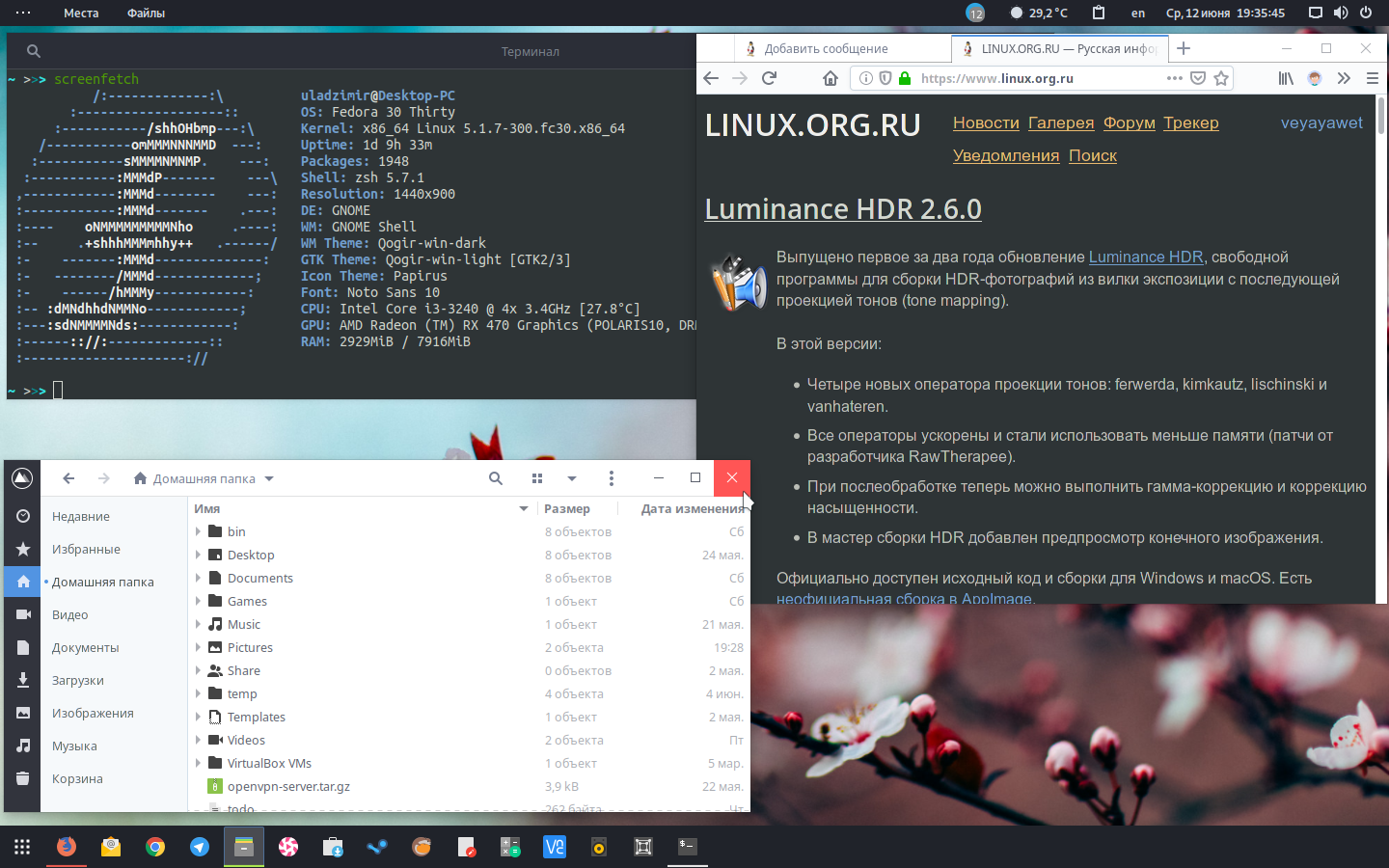 Linux org. Linux forum. Скриншот линукс Федора Гном. Gnome screenshot Linux. Many org ru