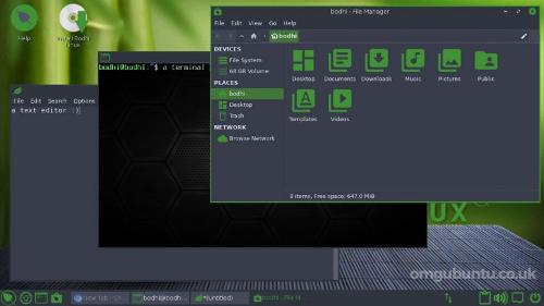 Bodhi Linux 6.0