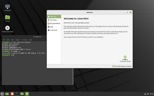 Linux Mint Debian Edition 5 «Elsie»