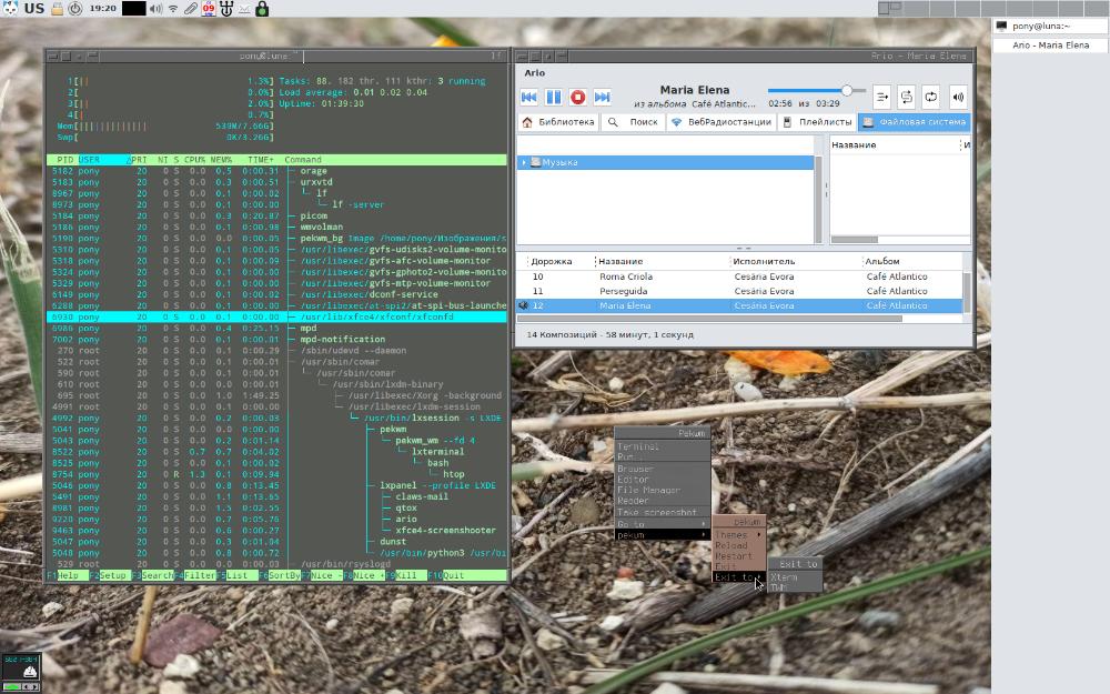 lxde + pekwm