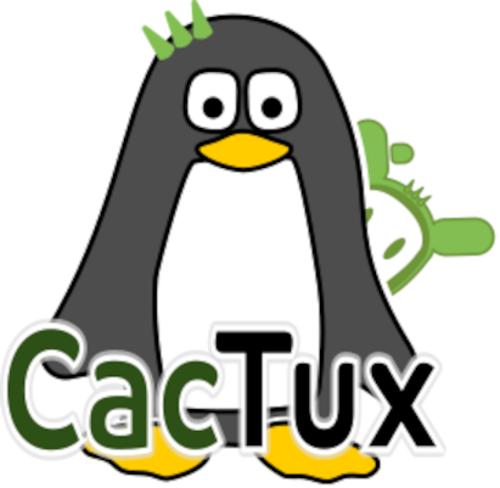 Детско-юношеские соревнования по Linux