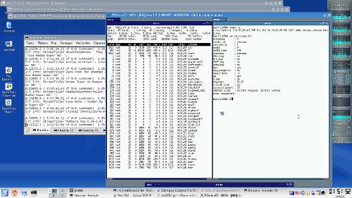 Slackware 9.1 + kernel 2.6.32 on PCem 17