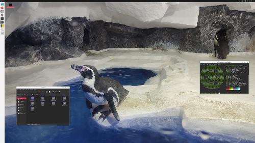 Скриншот: Пингвин в пингвине