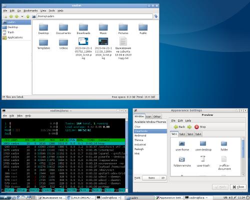 Скриншот: Выживание на Lubuntu 10.04 в 2023 году