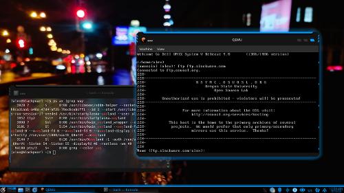 Скриншот: Dell Unix и выход в интернет