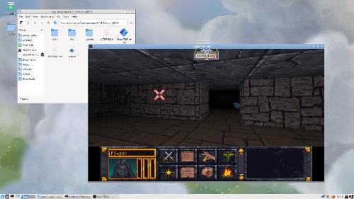 Скриншот: Попробовал я Elder Scrolls в Fedora