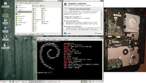 Скриншот: Четырёхкилограммовое могущество на Debian 7