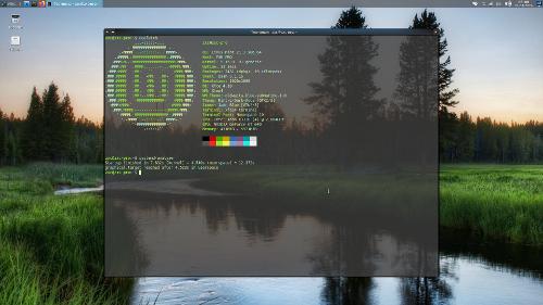 Скриншот: Linux Mint Xfce