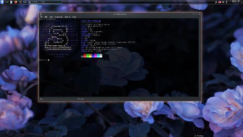 Скриншот: Slackware 15 + KDE 4 в 2024