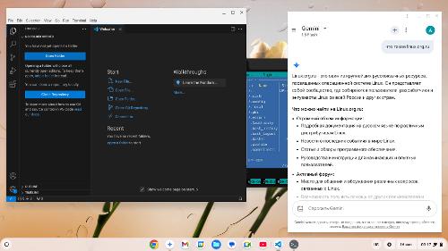 Скриншот: Chrome OS Flex c Linux для студентов