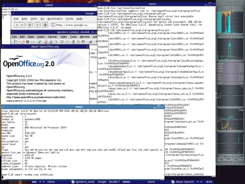 Openoffice 2.0.3 для x86_64