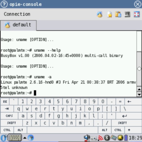 Linux на Palm TE2