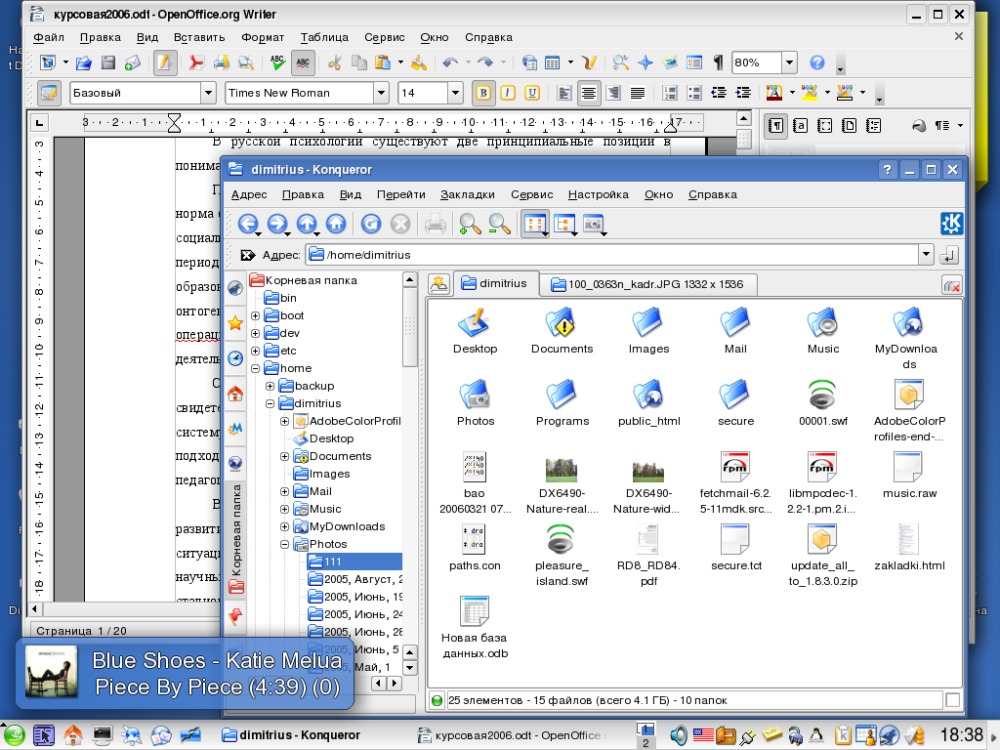 SuSE 10.1 «из коробки».