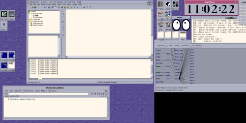 Rational Rose + Mwm + Xinerama + Linux 2.4