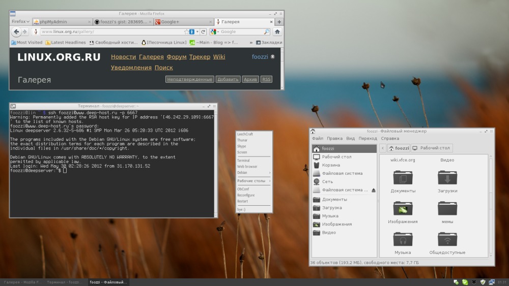 Вторая попытка запилить openbox