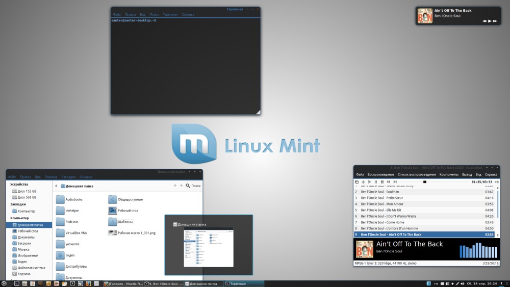 Mint 12 Cinnamon подшаманенный