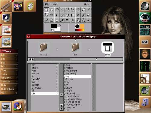 NeXT-ed Desktop (WMaker!)