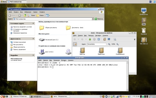 Linux + Windows
