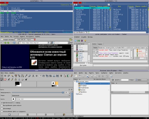 Ion3+gtk+qt+tk = linux 