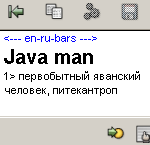 Java man